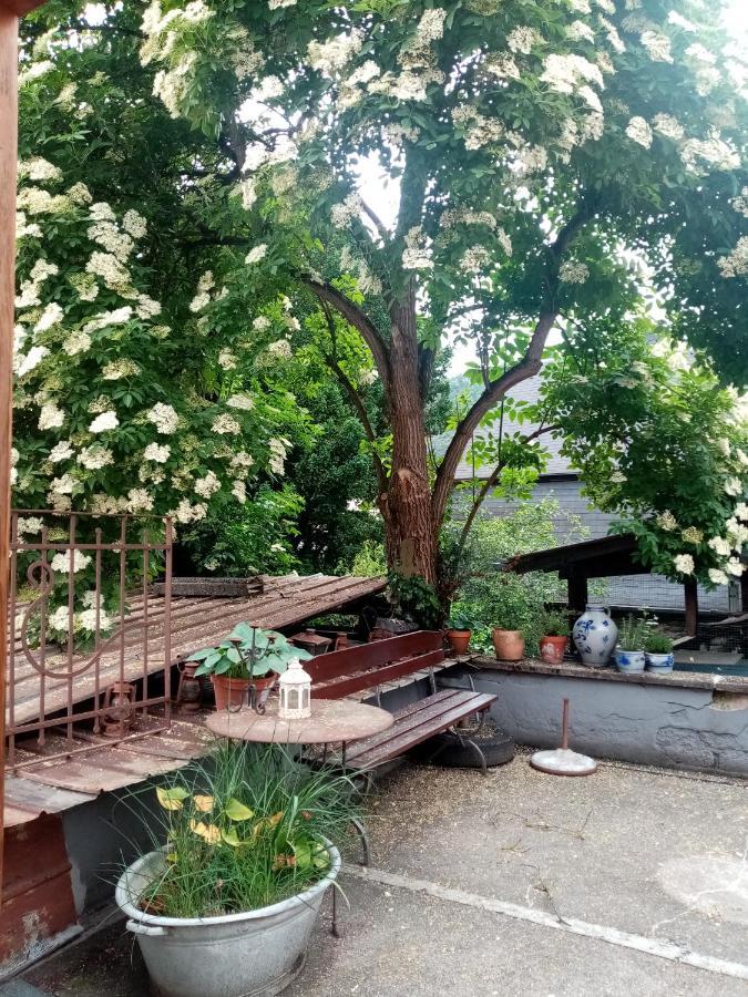 Vila Moselhaus Tante Emma Pünderich Exteriér fotografie